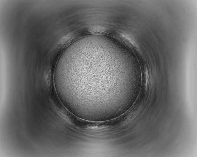 X0000086970498200704301300