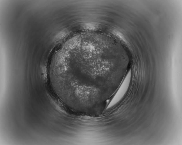 X0000086970500200704301300