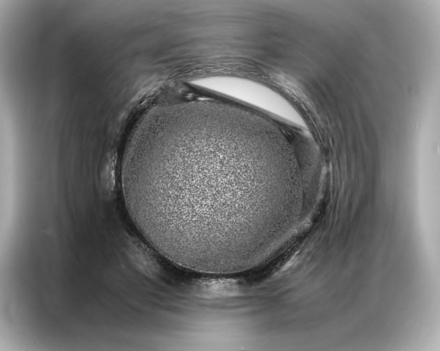 X0000086970501200704301300