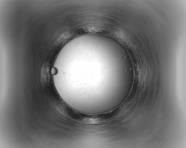 X0000086970506200704301300