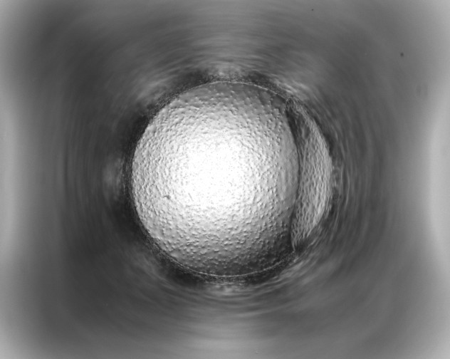 X0000086970511200704301300