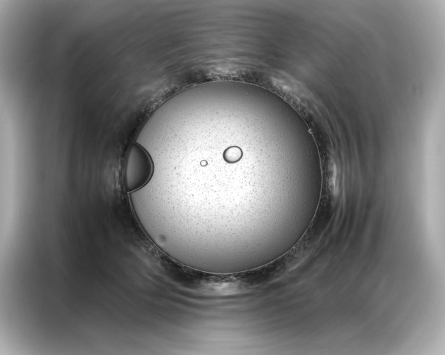 X0000086970514200704301300