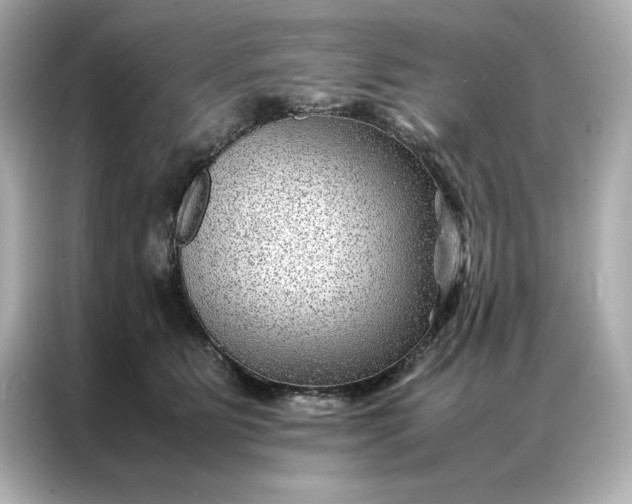 X0000086970515200704301300