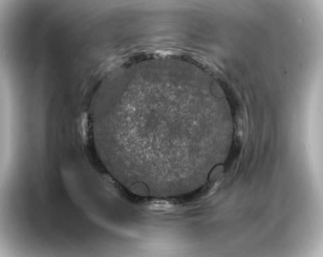 X0000086970519200704301300