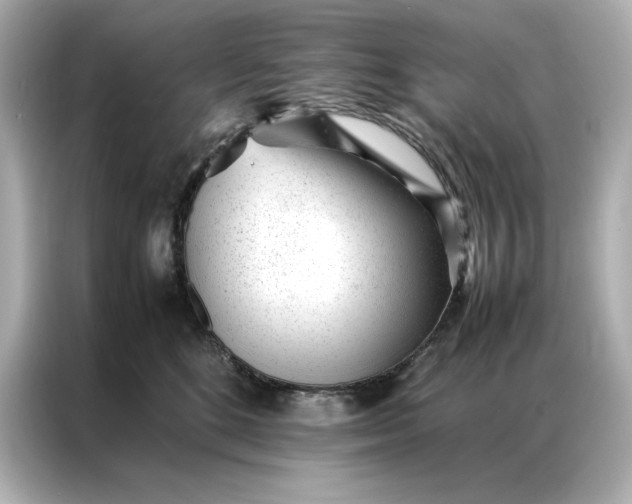 X0000086970520200704301300