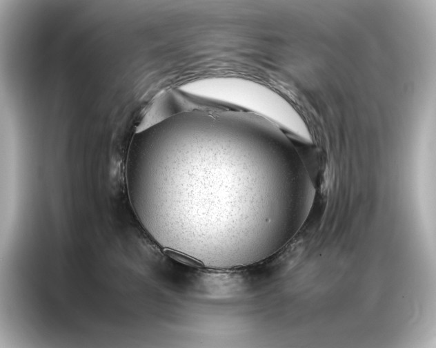 X0000086970521200704301300