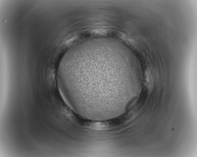 X0000086970522200704301300