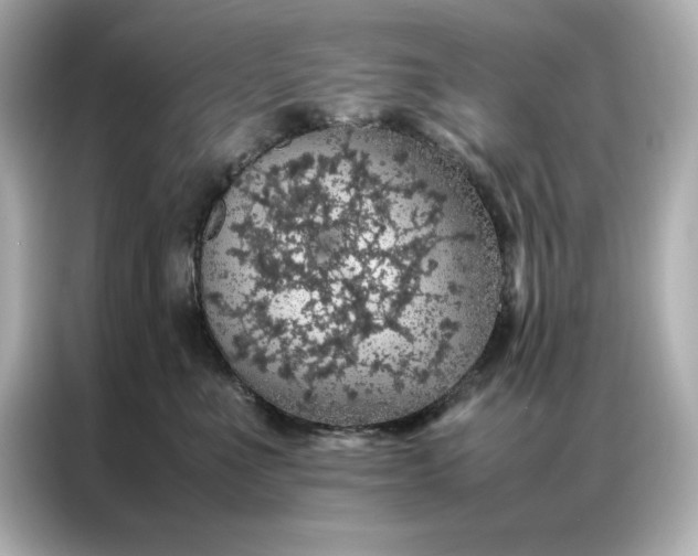 X0000086970523200704301300