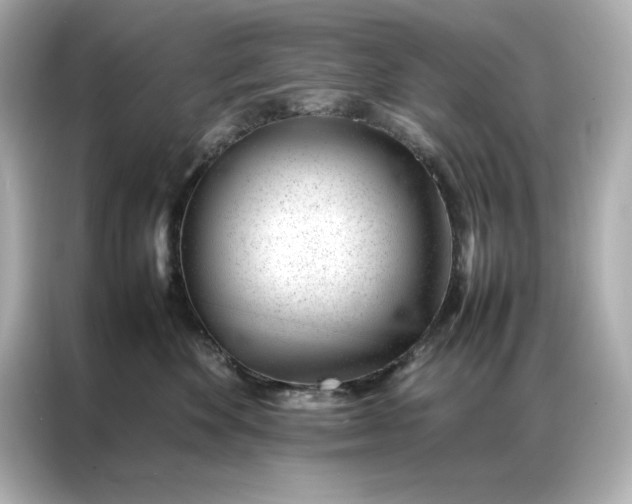 X0000086970524200704301300