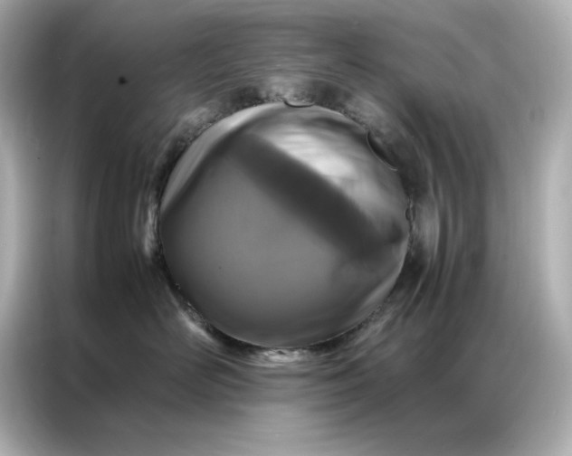 X0000086970526200704301300