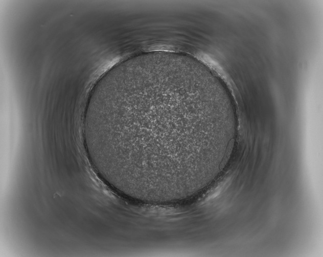 X0000086970529200704301259