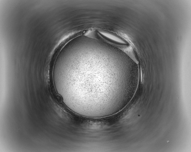 X0000086970531200704301259