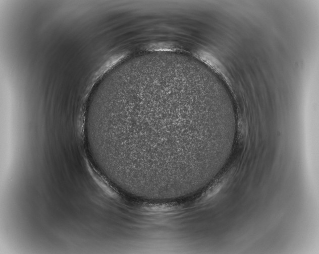 X0000086970533200704301259