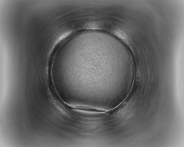 X0000086970535200704301259