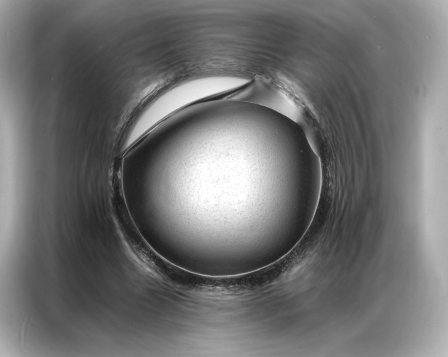 X0000086970538200704301259