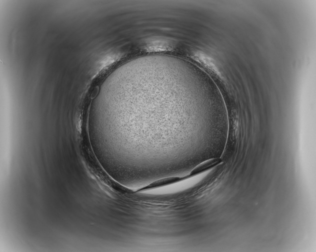 X0000086970539200704301259