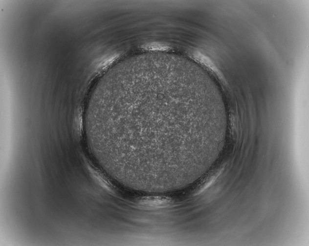 X0000086970541200704301259