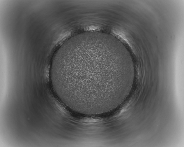 X0000086970545200704301259