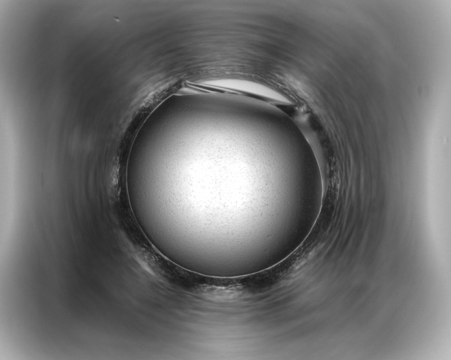 X0000086970548200704301259