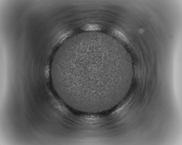 X0000086970549200704301300