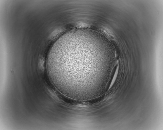 X0000086970550200704301300