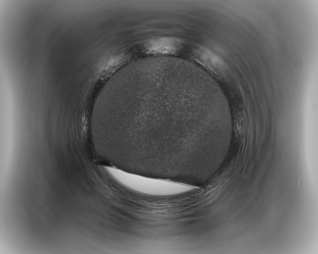 X0000086970551200704301300