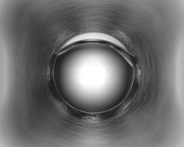 X0000086970552200704301300