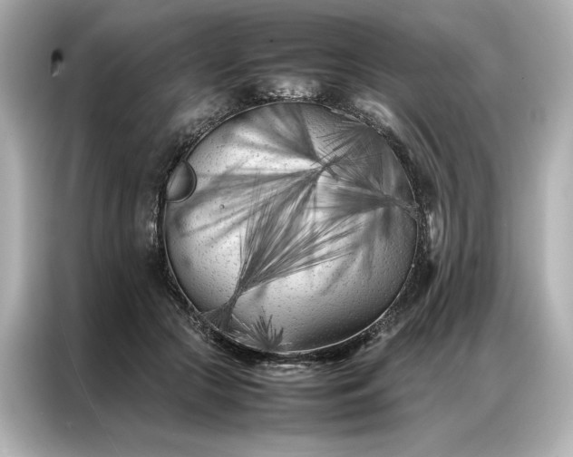 X0000086970553200704301300