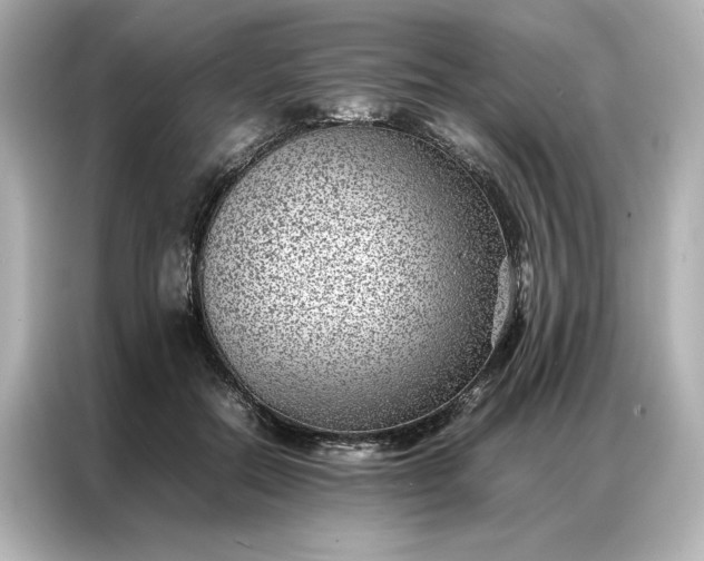 X0000086970554200704301300