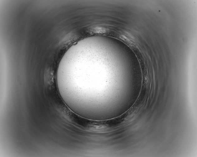 X0000086970555200704301300