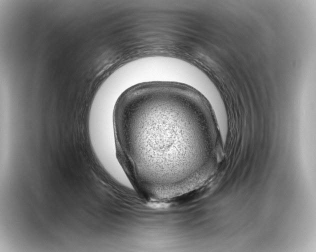 X0000086970556200704301300