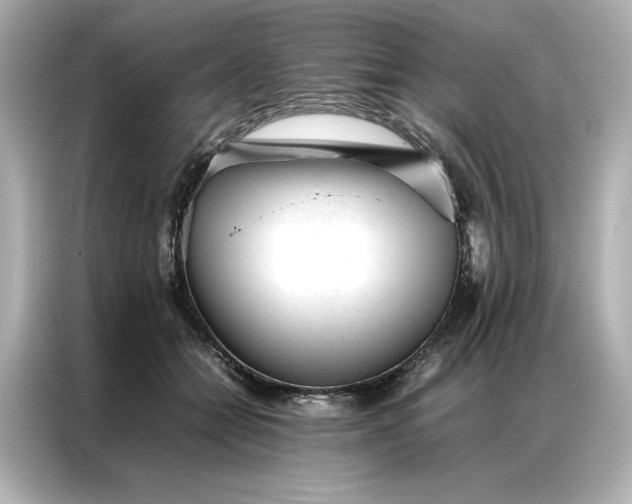 X0000086970558200704301300