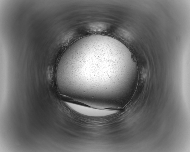 X0000086970559200704301300