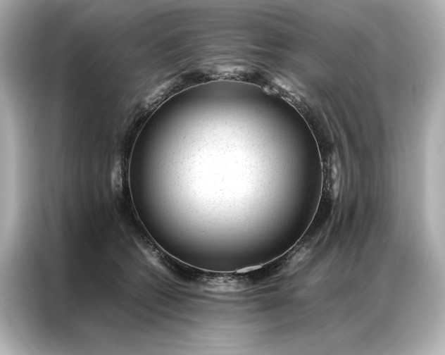 X0000086970562200704301300