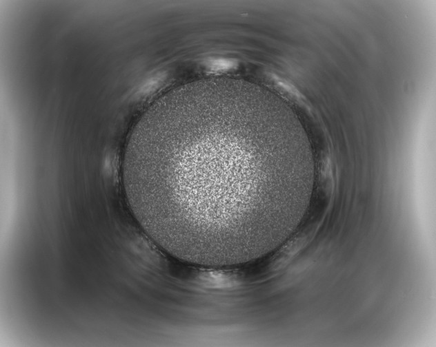 X0000086970565200704301300