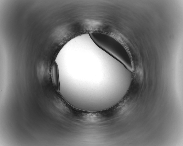 X0000086970566200704301300