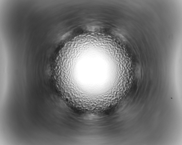 X0000086970569200704301300