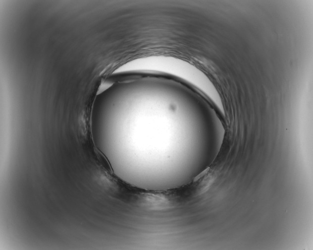 X0000086970572200704301300