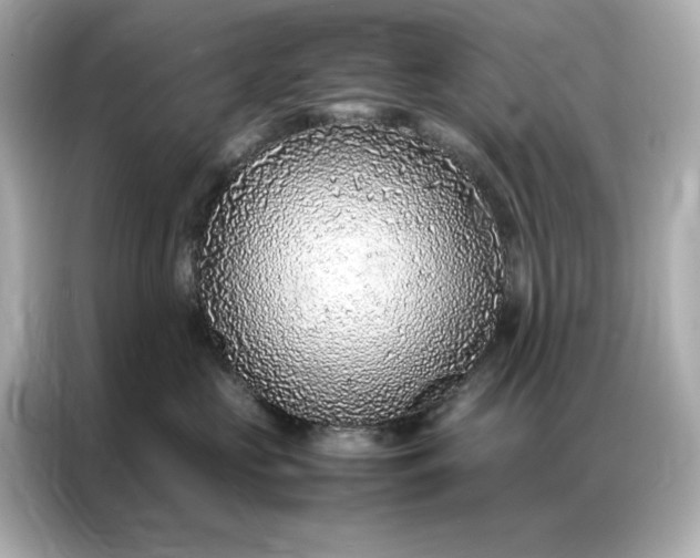 X0000086970573200704301300