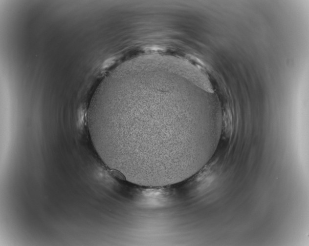 X0000086970574200704301300