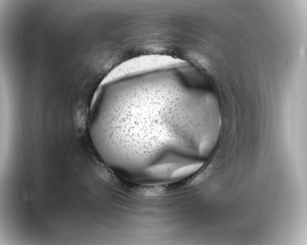 X0000086970576200704301300