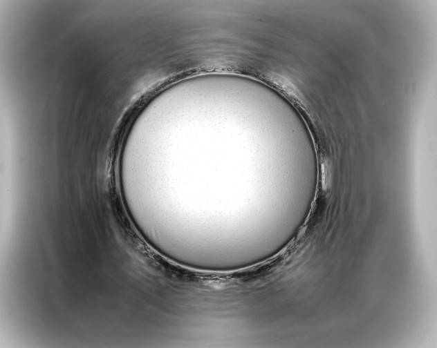 X0000086970579200704301259