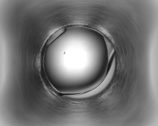 X0000086970580200704301259