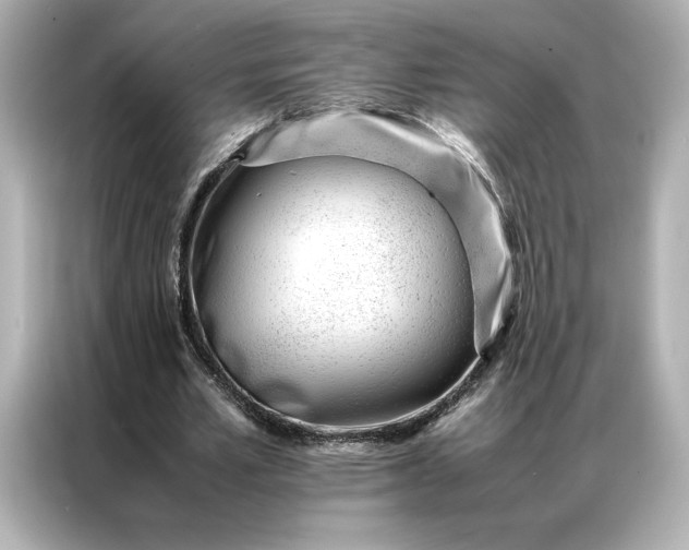 X0000086970581200704301259