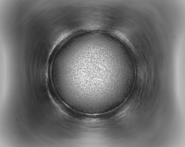 X0000086970582200704301259