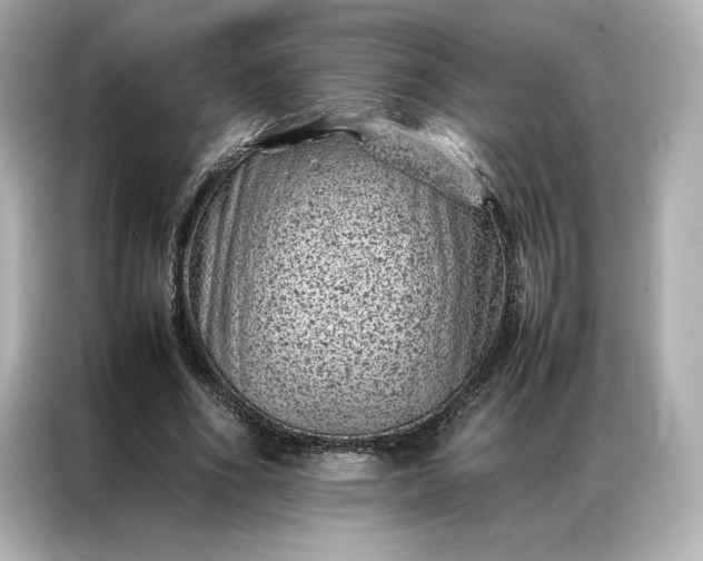 X0000086970586200704301259