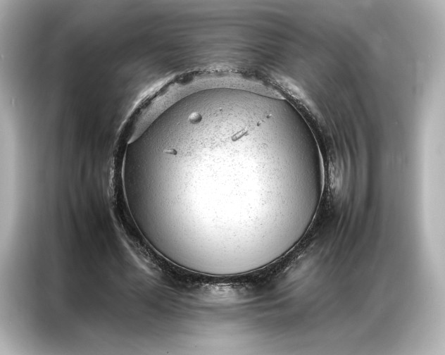 X0000086970588200704301259