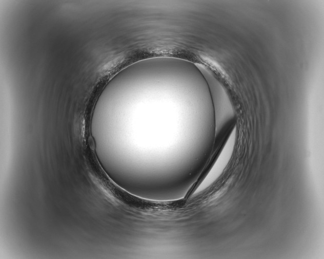 X0000086970589200704301259