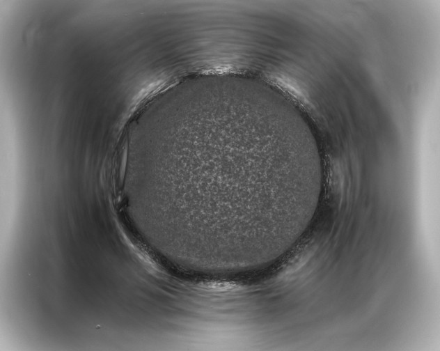 X0000086970590200704301259