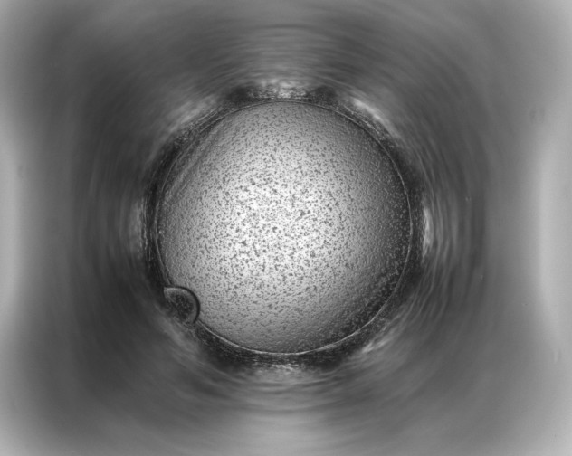 X0000086970594200704301259